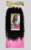 imagem do produto  Cabelo Ritmo Crochet Braid Ser Mulher 340g